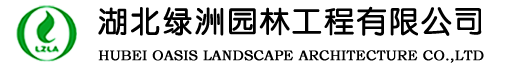 安陽(yáng)中炬精工有限公司（官網(wǎng)）